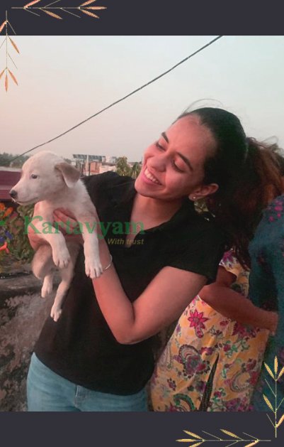 Support Kitchen Gardens